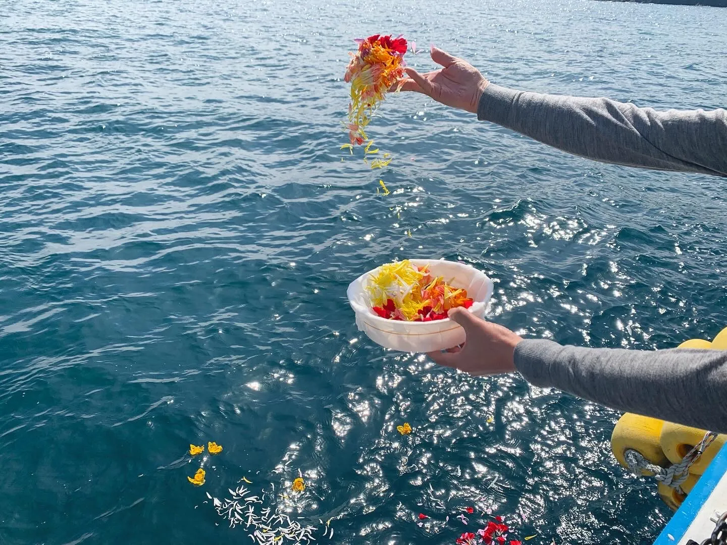 ギャラリー画像 1