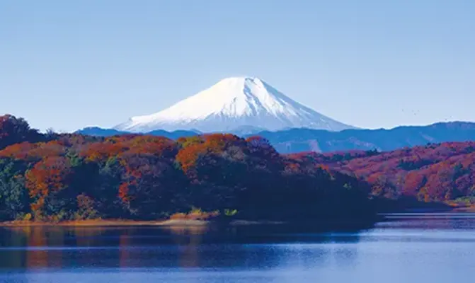お葬式のむすびす（西葛西セレモニーホール）で葬儀を行なった写真