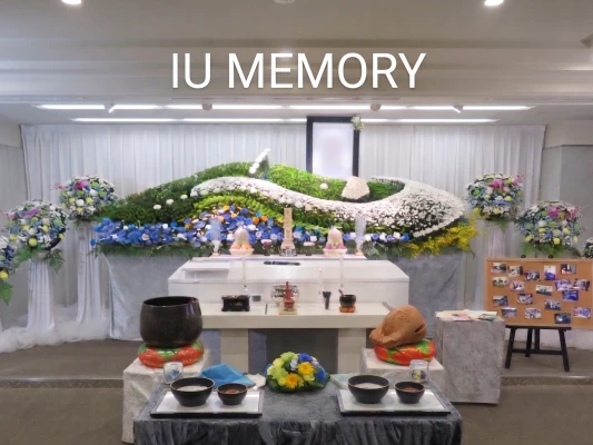 アイユーメモリー