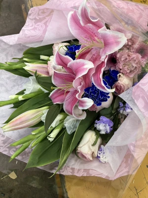 新宿区/はじめてのお葬式