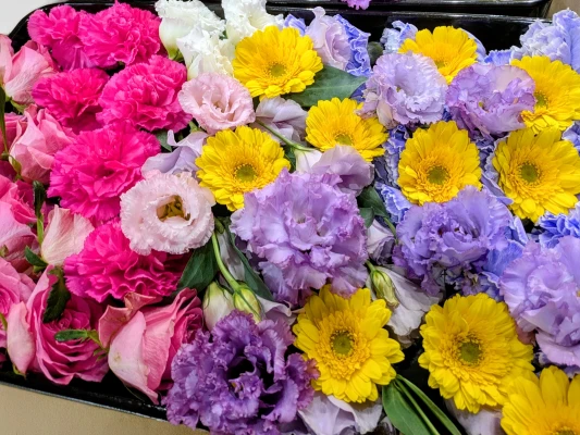 家族葬の彩華