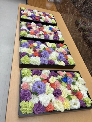 ケイズ葬祭