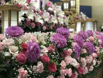 シンプル家族葬（一日）