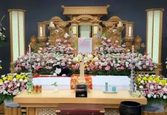 株式会社正光社(大井 正光会館)で葬儀を行なった写真