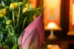 フラワープラン（一日葬）