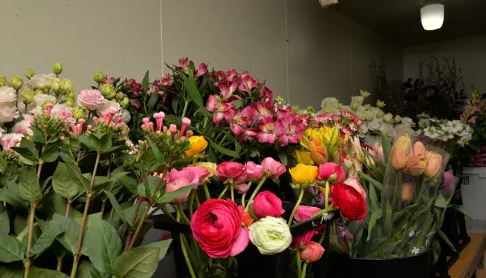 市場直送の生花