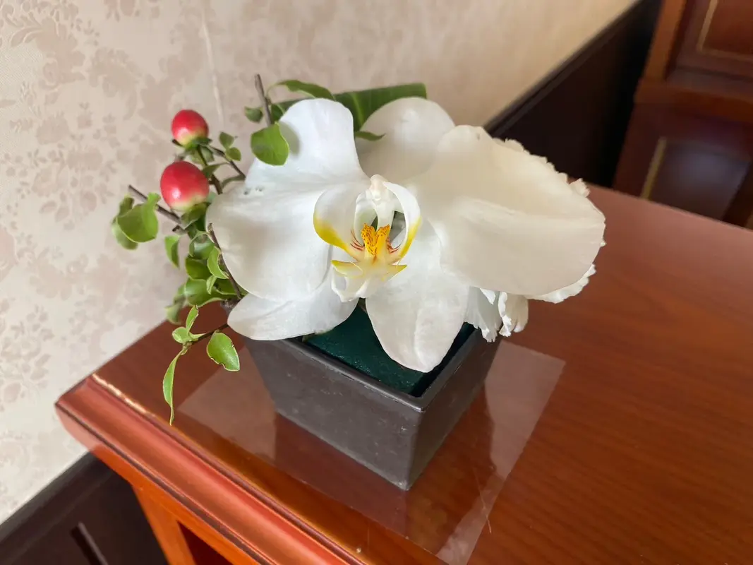 【定額制】おまかせ火葬プラン