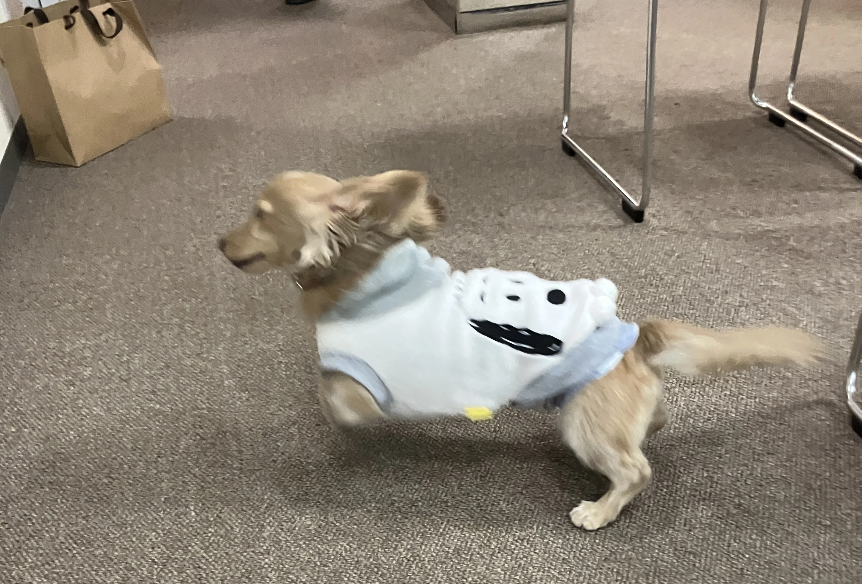 葬儀事例の登録画像