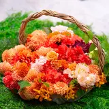 火葬式シンプル