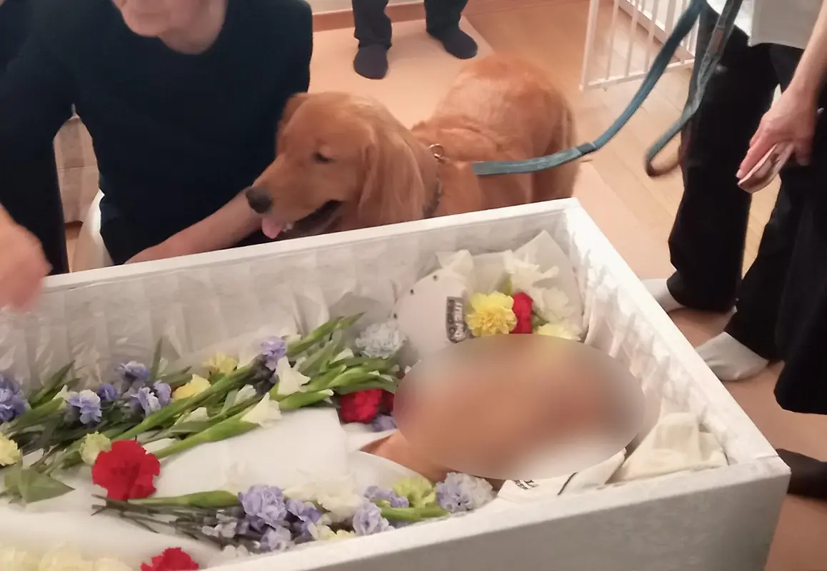 株式会社 貴方の側での写真 3