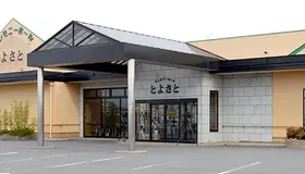 秋桜（ホールとよさと） 写真 1