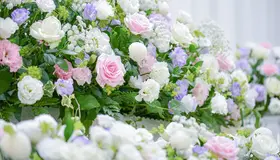 一日葬プラン