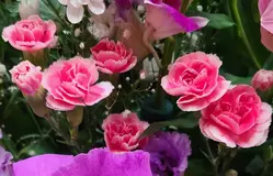 平安メモリアル 写真 1