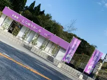 しらゆりセレモニー 写真 2