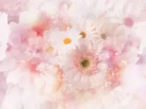 家族想