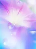 火葬式（炉前読経プラン）