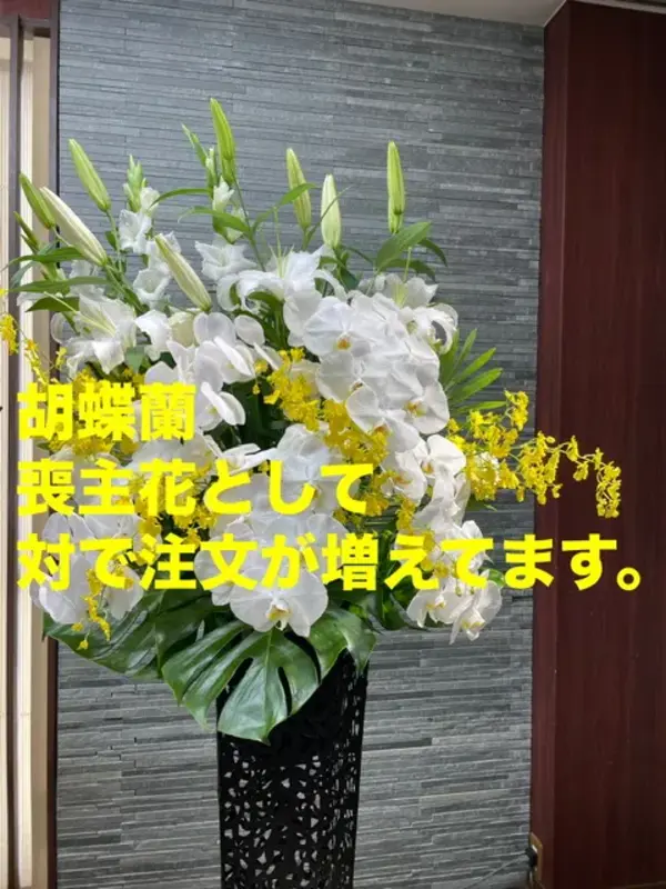 おまかせ火葬プラン