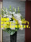 おまかせ火葬プラン