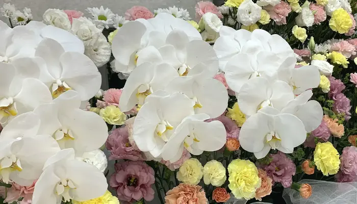 グランセレモ東京(桐ケ谷営業所)で葬儀を行なった写真