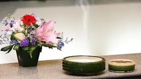 直葬プラン