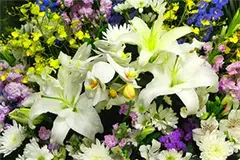 雅葬祭（いちい会館） 写真 3