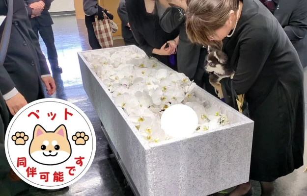 花彩典　城南ライフホール