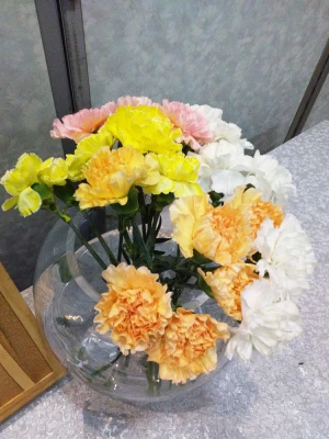 中野区/はじめてのお葬式
