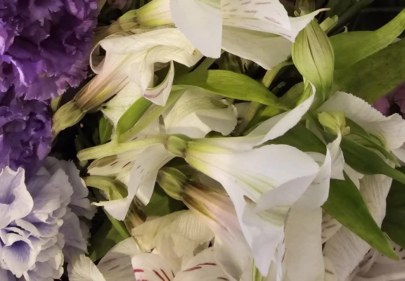 平安メモリアル 大和営業所