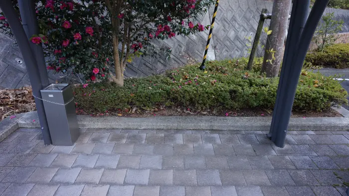 池田火葬場で葬儀を行なった写真