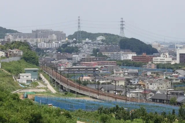 稲城市民葬儀のメリットデメリット|費用や利用方法も徹底解説
