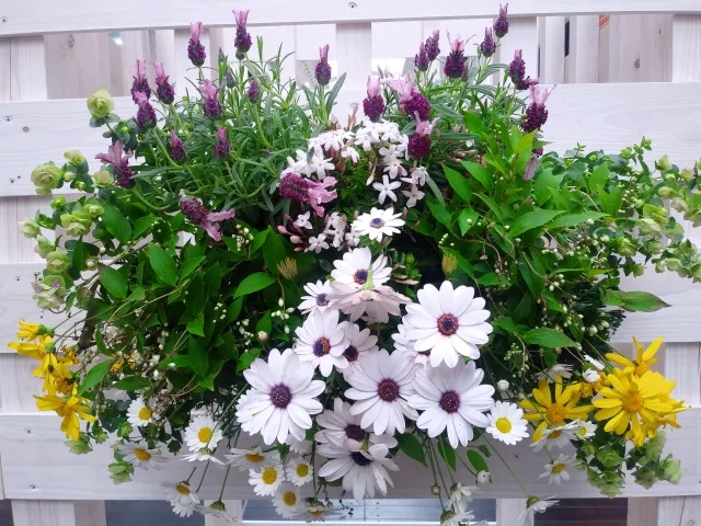 供花の種類(宗教別)