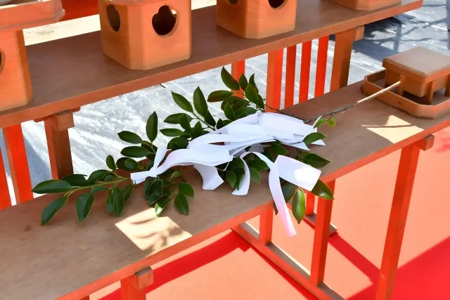 樒と榊の違い