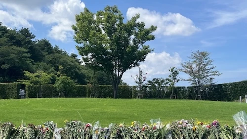 そもそも樹木葬とは?後悔を避けるためにまず仕組みを理解する