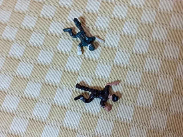 遠野なぎこさんだと思われる遺体は今後どうなる？
