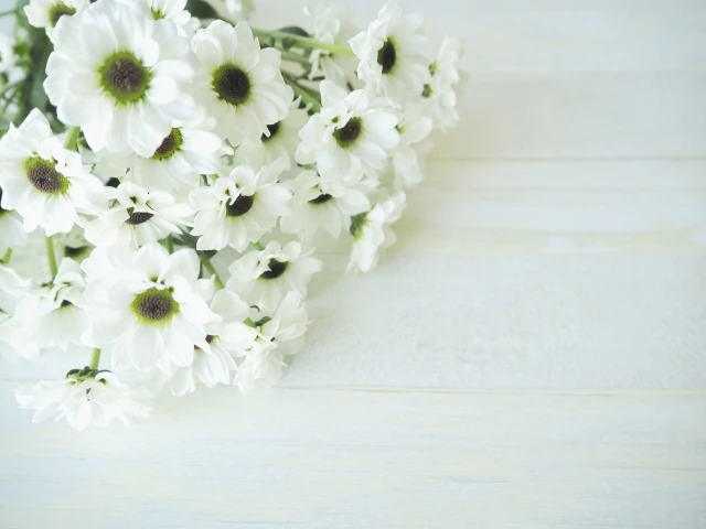 供花っていくらが相場?関係性別に教えて