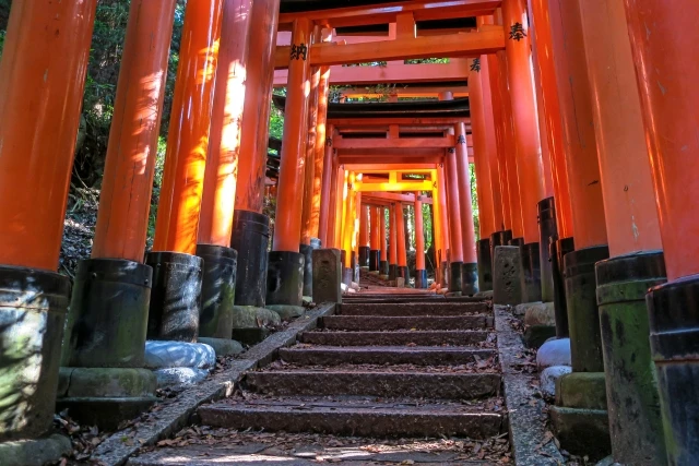 稲荷神社とは？稲荷って何？神様は別にいるの？